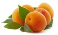 image from www.jardindelyon.com